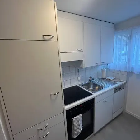 Alpina Apartment *