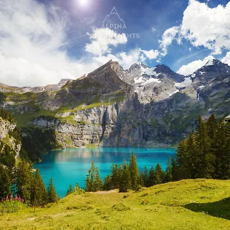 Alpina Apartamento Kandersteg
