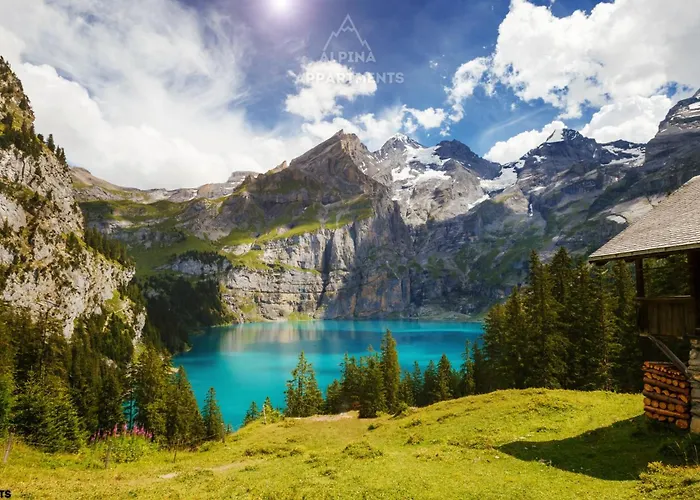 Alpina Lejlighed Kandersteg